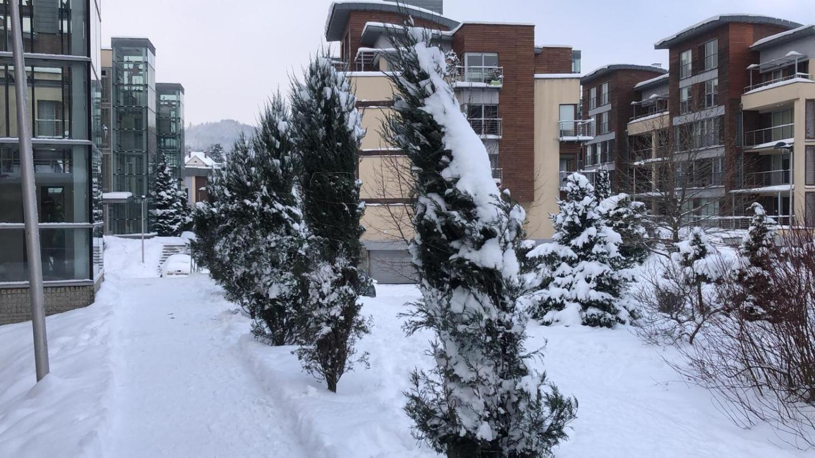 Apartament Z Widokiem Na Czantorie W Zeta Park أوسترون المظهر الخارجي الصورة